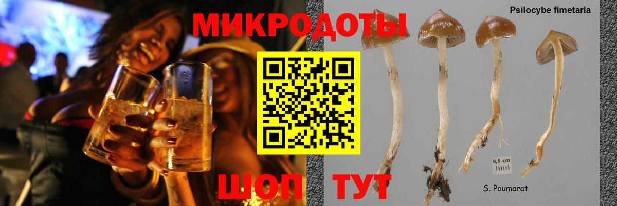 Северск  Псилоцибиновые грибы Magic Shrooms  где можно купить   Вход с VPN 